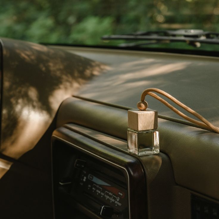 Aromas que te acompañan: ¿Cómo elegir el difusor ideal para tu auto?