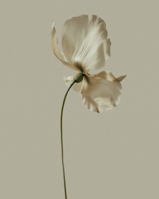 Florales