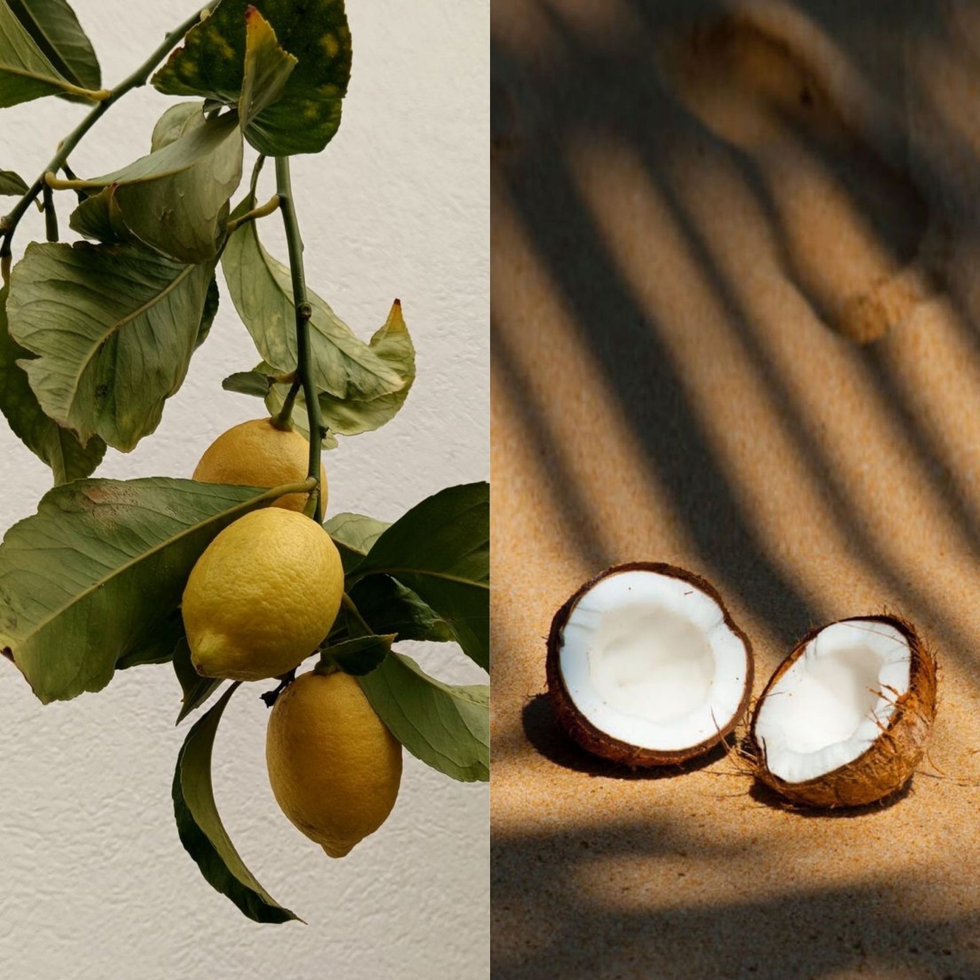 Difusor de Varillas Lima & Coco 100 ml - ESENCIA AZUL