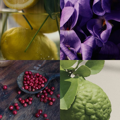 Difusor de Varillas Bergamota Cítrica 100 ml - ESENCIA AZUL