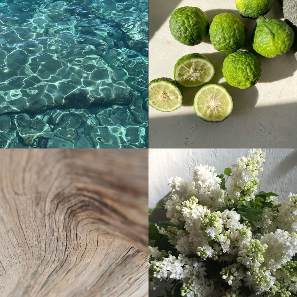 difusor de Varillas Bosque Azul 100 ml - ESENCIA AZUL